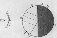 CTET 2012 January Question Pape-2 SS_Q41